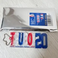【横浜F・マリノス】 プレイヤーズネームスタンドアクキー　坪井湧也のサムネイル