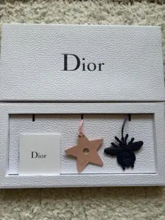 Dior チャーム スター ビー 2점 세트