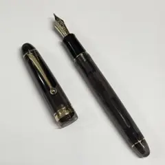 2025年最新】パイロット万年筆 カスタム742の人気アイテム - メルカリ