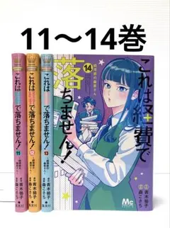これは経費で落ちません! 11〜14巻