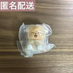 【即時購入可】skzoo ライトマスコット　パピーム