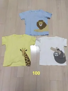 無印 動物 Tシャツ 3枚セット