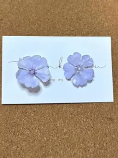 本物のお花　芝桜ピアス