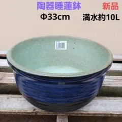新品 良品 ∅43 陶器睡蓮鉢 大型 メダカ鉢 黒緑 エメラルドグリーン