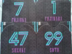 Item thumbnail for item 2077fee0-9fa0-47cc-9caf-f3a2fba2d424