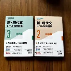 新・現代文レベル別問題集②③標準編