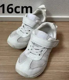 16cm IFME イフミー　キッズスニーカー　ベルクロ　上靴