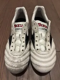 モレリア2JAPAN 23.0cm