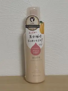 Item thumbnail for item 4853d48d-efc6-4aeb-b85d-80b0ba7b5b50