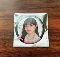 Item thumbnail for item 10adaa15-aed8-4b47-baa5-5cfe971205ad