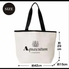 otona MUSE 3月号付録　アクアスキュータムビッグトート