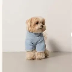 Item thumbnail for item 5c99909b-655d-4106-8b80-6d2d3f1cb00d