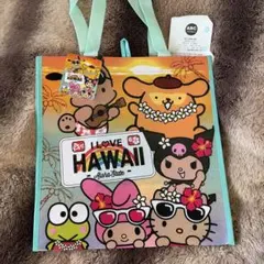 【新品タグ付】ハワイ限定 サンリオバッグ キティ マイメロ ポチャッコ クロミ