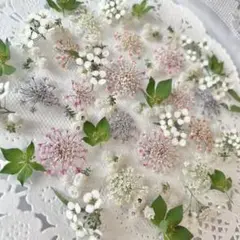 No.36 ミニ花材ドライフラワーセット