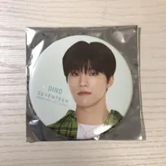 SEVENTEEN ディノ DINO 缶バッジ 缶バッチ
