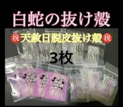 白蛇の抜け殻☆巳年生まれが育てるヘビのお守り☆運気上昇【天赦日脱皮抜け殻】