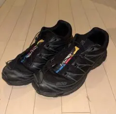 Salomon S-LAB XT-6 atmos限定 25cm ポスター付 - メルカリ