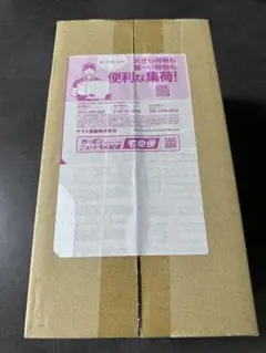 新品未開封 ポケモンセンターヒロシマ スペシャルBOX