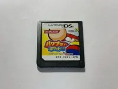 パワプロクンポケット11 ニンテンドーDS -0574