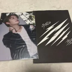 straykids スキズ トレカ ラントレ leeknow リノ