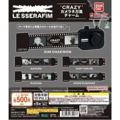 LE SSERAFIM CRAZY カメラネガ風チャーム ホンユジン