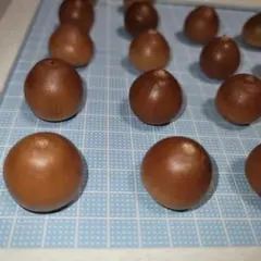 ③くぬぎ　アベマキ　どんぐり　30個