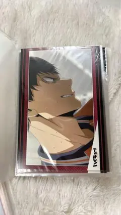 ハイキュー ポストカード・マルチケース セット