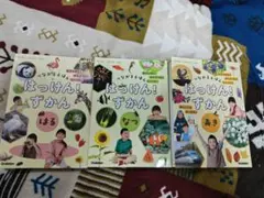 Item thumbnail for item 14f6a0ad-ca5c-4600-b8b3-30030f8077bb