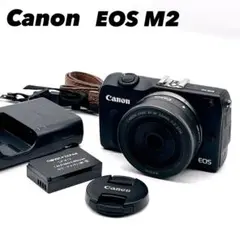 Item thumbnail for item 6e78df74-6c4e-4404-8e7a-5a841e869c52