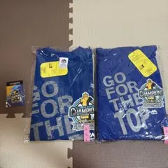 【新品未使用】福岡ソフトバンクホークス Tシャツ パーカー 青 ピンバッジ