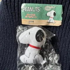 PEANUTS スヌーピー ボールチェーン付きぬいぐるみ