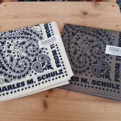 Item thumbnail for item 18764689-6858-4737-aa73-814b415e0938