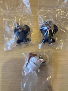 ドラゴンボール めじるしアクセサリー4 カリン様　大猿悟空