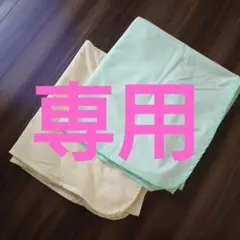 Item thumbnail for item d9825e36-38bb-4bbd-99a3-d2e4cfec7f81