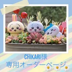 【chikari様専用オーダーページ】です！