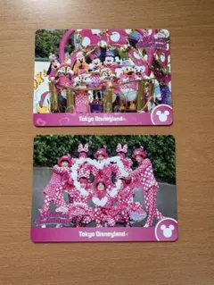東京ディズニーランド ミニー パルパルーザ コレカ2枚セット