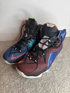Nike バスケットボールシューズ レブロン12