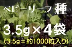 ベビーリーフの種 約3.5g×4袋 (合計 約4000粒) おまけの種付き！のサムネイル