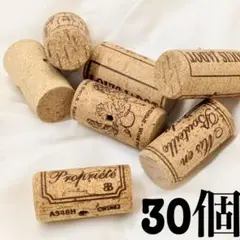 コルクパーツ30個セット【在庫有り】バードトイパーツ　かじかじ l-1)のサムネイル