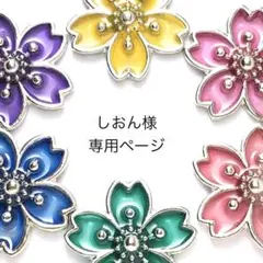 しおん様専用ページ