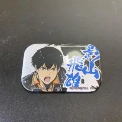 2026年最新】影山飛雄缶バッジの人気アイテム - メルカリ