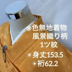 オレンジ色 色無地 風景織り柄 正絹 広衿 袷1ツ紋YK-1172