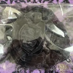 Item thumbnail for item 8970133d-e896-4978-90c2-ca80f642fa0b