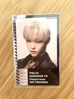 【公式】Stray Kids フィリックス ODDINARY IDカード トレカ
