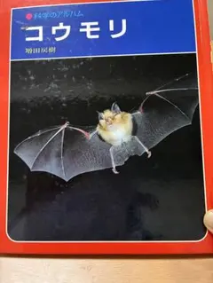 科学のアルバム「コウモリ 」