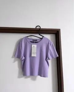 ZARA クロップド丈tシャツ ミニt