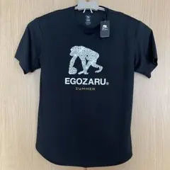 Item thumbnail for item 2e7a0822-e28d-4578-8d19-c9aabeb942ee