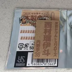 ヤクルトスワローズ スポーツ選手