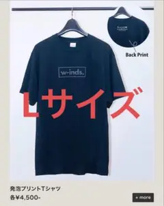 w-inds. ツアー　発泡プリント　Tシャツ　winderlust