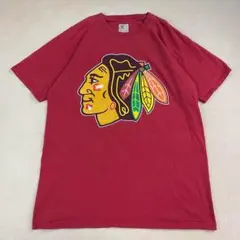ダ*ズ様 フルーツオブザルーム Tシャツ NHL ブラックホークス ビッグロゴ